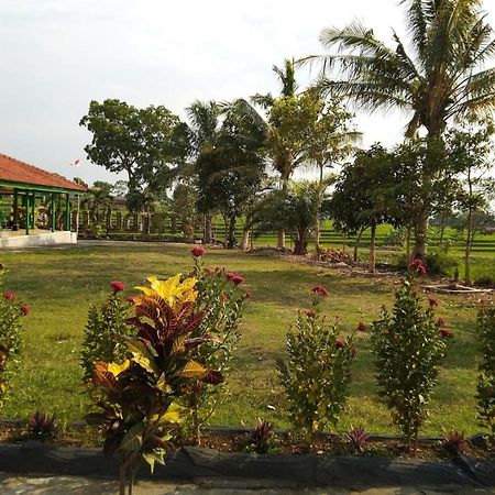 Putri Duyung Guest House Karangpandan Zewnętrze zdjęcie