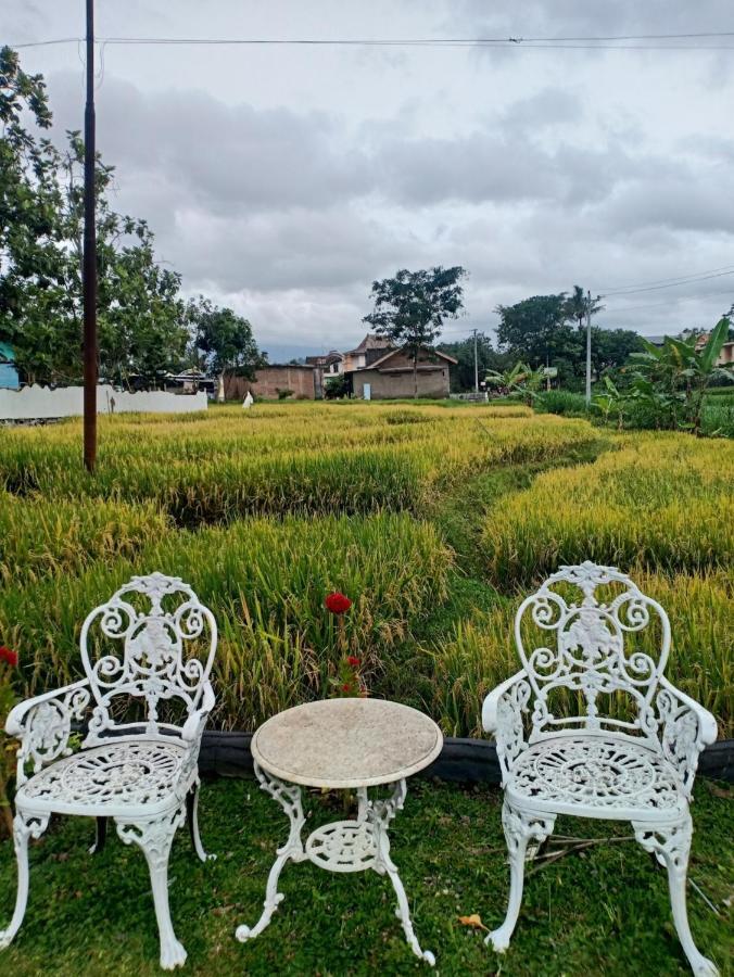 Putri Duyung Guest House Karangpandan Zewnętrze zdjęcie